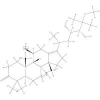 25-甲氧基泽泻醇A