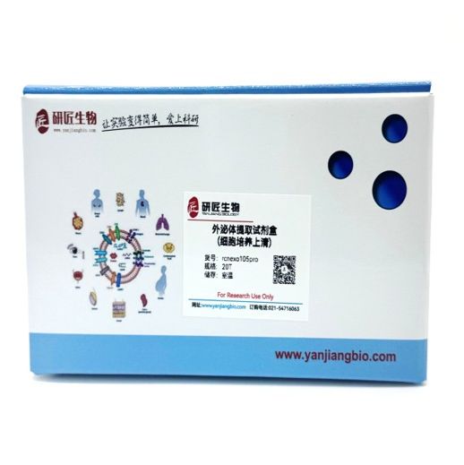 无外泌体完全培养基