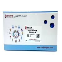 无外泌体完全培养基