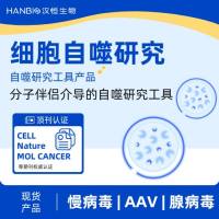分子伴侣介导的自噬研究工具
