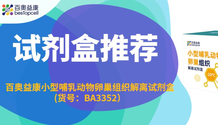 试剂盒推荐 | 百奥益康小型哺乳动物卵巢组织解离试剂盒（货号：BA3352）