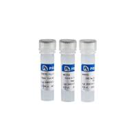 One-Step Seamless Cloning Kits