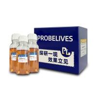 聚偏二氟乙烯膜(PVDF膜,0.22 μm)