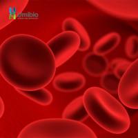 外泌体提取纯化试剂盒（血清-血浆）升级版 UR52151