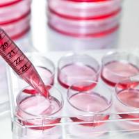 外泌体提取纯化试剂盒细胞上清)