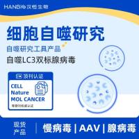 自噬LC3双标腺病毒
