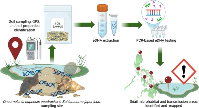 BMS 公司MIC PCR系统用户文章分享，多国传染病专家发表“Soil‑based environmental DNA enables detection of ncomelania hupensis quadrasi and Schistosoma japonicum microhabitats for schistosomiasis japonica surveillance and con