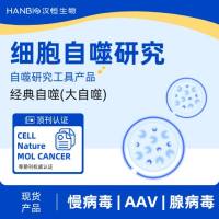 经典自噬(大自噬)研究工具