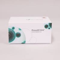 LLC 细胞[LL/2; LLC1细胞] (小鼠肺癌细胞) (STR鉴定正确)