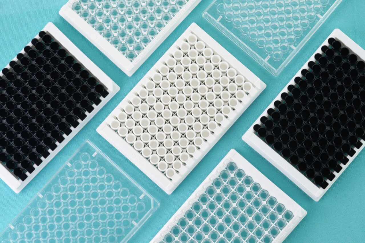 酶标板详解：从基础知识到实用技巧的完整指南