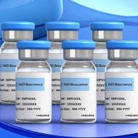 噬菌体展示十二肽库筛选试剂盒