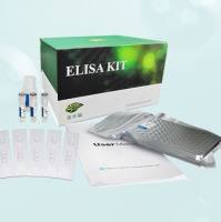 技术服务/蛋白抗体服务/科研及诊断ELISA试剂盒定制/一站式/临床应用标准/规模化生产
