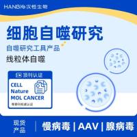 线粒体自噬研究工具