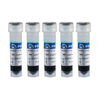 Ready-to-use DRAQ5 活细胞 DNA 染料 (5 mM)