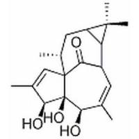 20-去氧巨大戟萜醇
