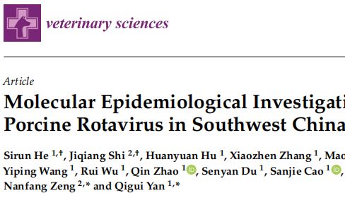 西南地区猪轮状病毒新流行病学数据出炉！G9/G4基因型成主流，人猪重组毒株现身