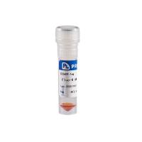 Ready-to-use Fluo-20 AM 钙离子荧光探针(2 mM)