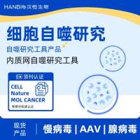 内质网自噬研究工具