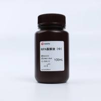 RIPA裂解液（中）