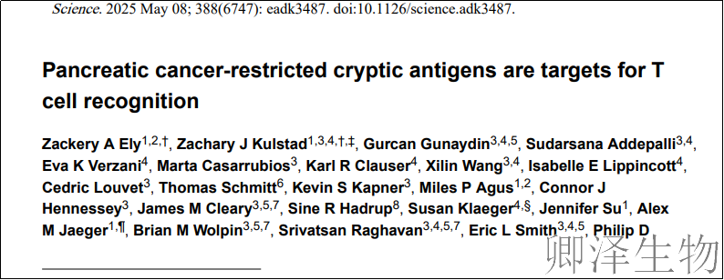 【免疫肽组学+翻译组学】 | ：登顶刊！胰腺癌免疫治疗现重大突破