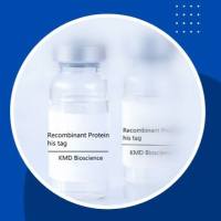 灭活水痘带状疱疹gE/glycoprotein E病毒抗原