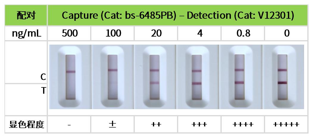 重点推荐 | 药物小分子检测相关配对抗体！