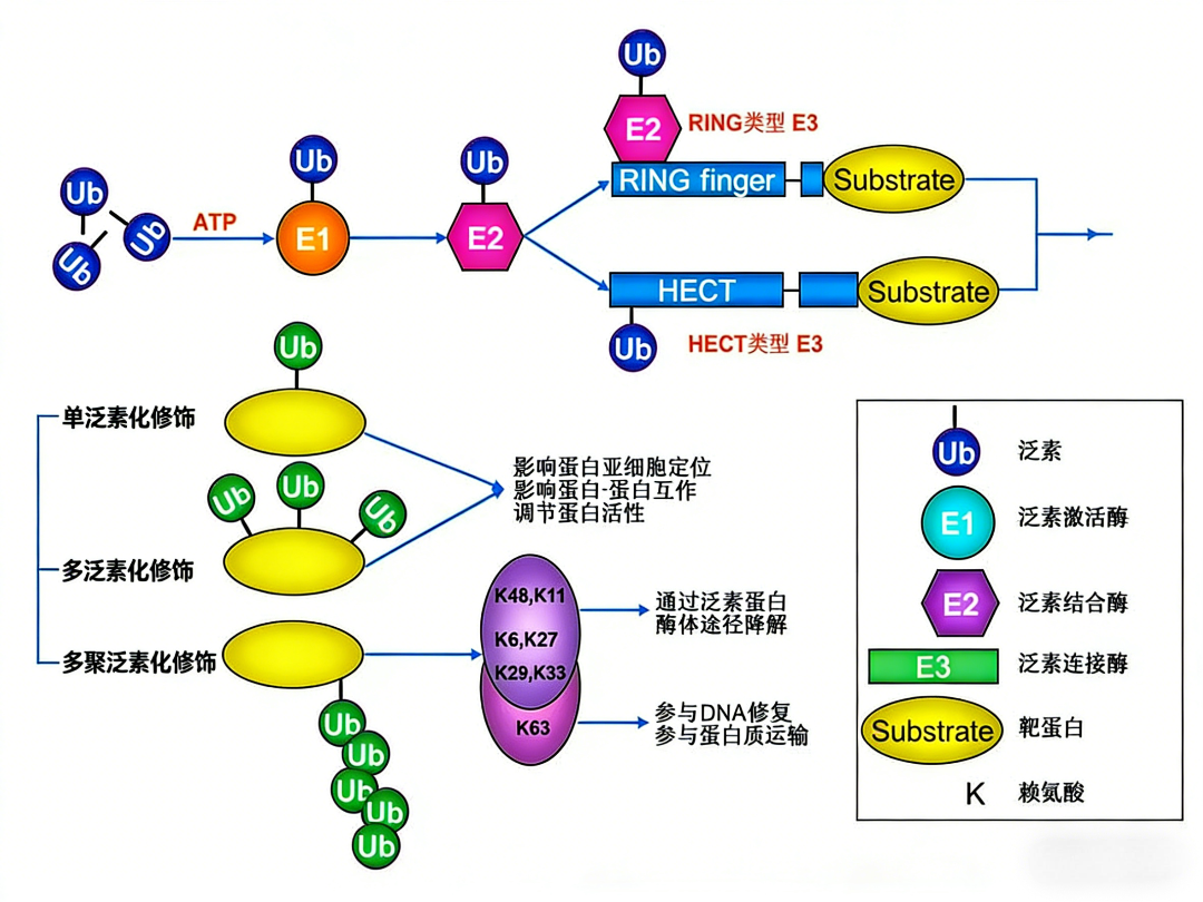 技术资料图片1