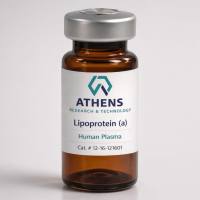 LP(A) 脂蛋白(a)