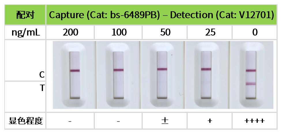 重点推荐 | 药物小分子检测相关配对抗体！