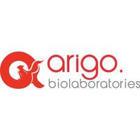维百奥生物代理Arigo Biolaboratories品牌全系列产品