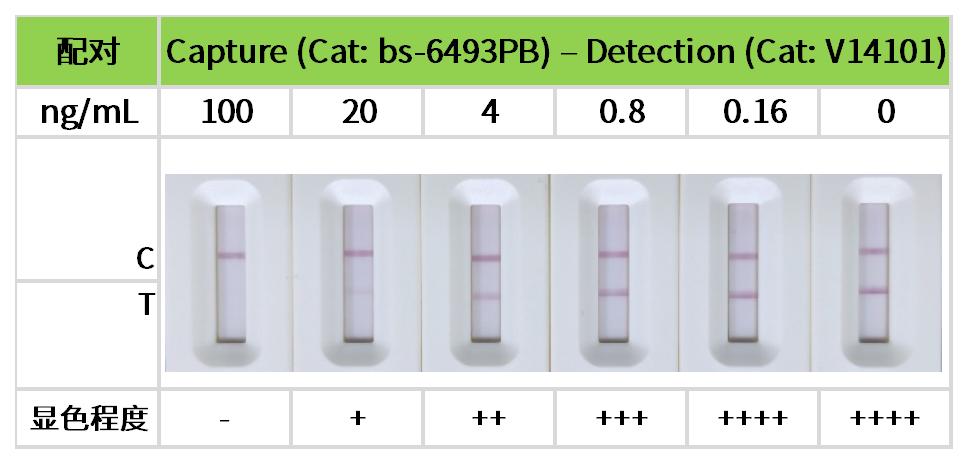 重点推荐 | 药物小分子检测相关配对抗体！
