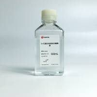 5×无蛋白快速封闭稀释液