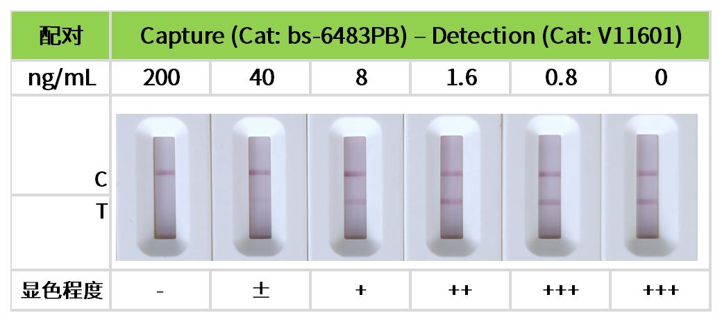 重点推荐 | 药物小分子检测相关配对抗体！