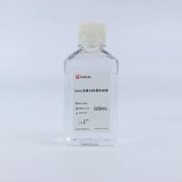 5min无蛋白快速封闭液