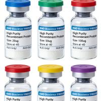 重组人 SCF/KITLG 蛋白（无标签）Recombinant Human SCF/KITLG Protein, No Tag