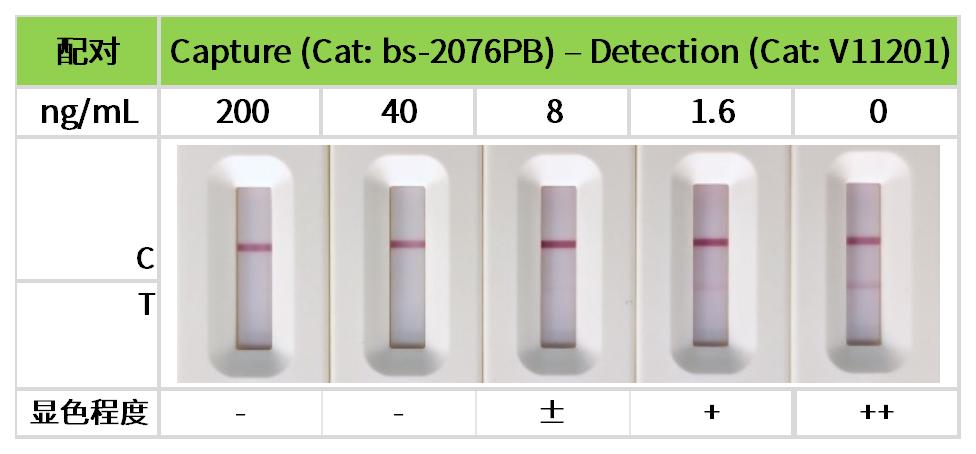 重点推荐 | 药物小分子检测相关配对抗体！