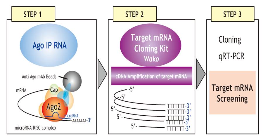 2914830020231537.jpg 2914830020231537.jpg