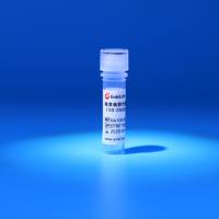 校准级彩色预染蛋白Marker（10-250kDa）