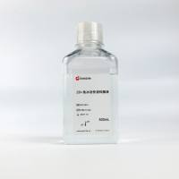 20×免冰浴快速转膜液