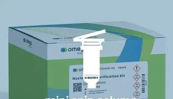 颠覆认知：一款试剂盒如何修正百年蜗牛分类错误，重塑生态研究基石