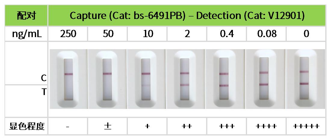 重点推荐 | 药物小分子检测相关配对抗体！