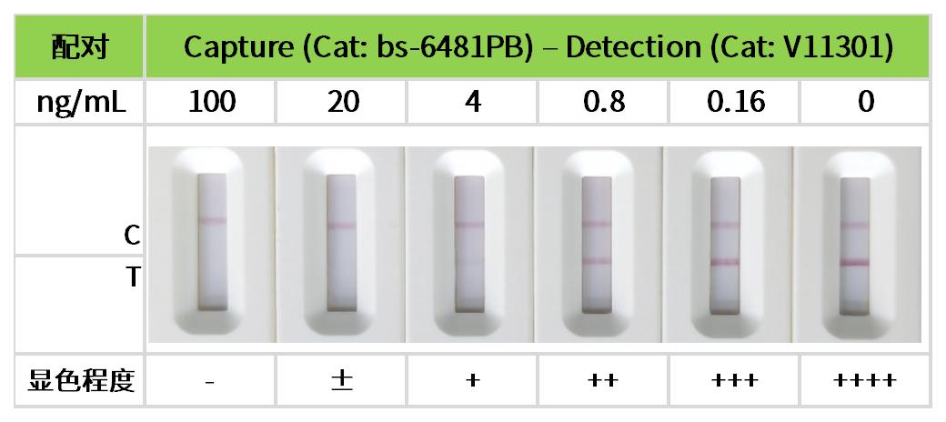 重点推荐 | 药物小分子检测相关配对抗体！
