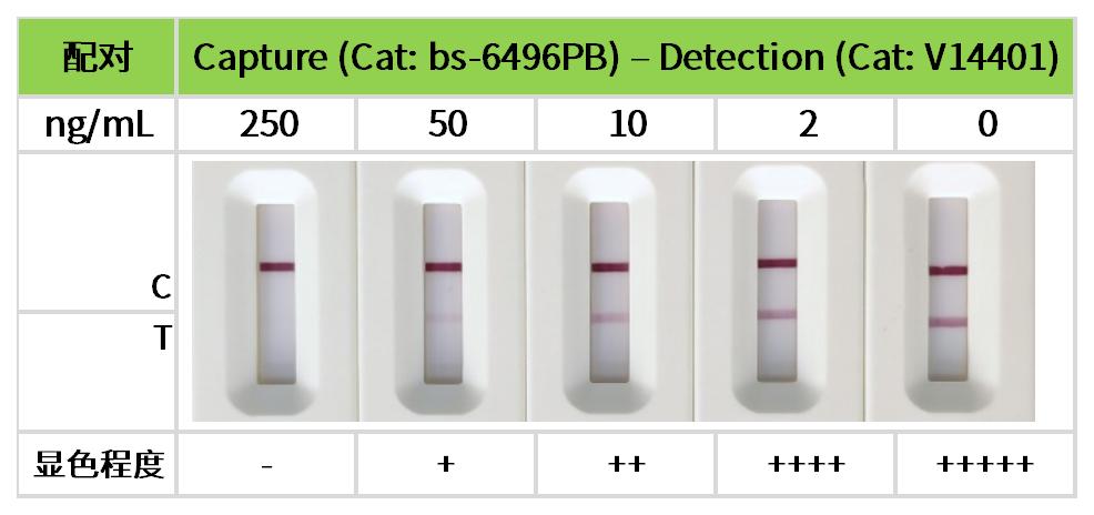 重点推荐 | 药物小分子检测相关配对抗体！