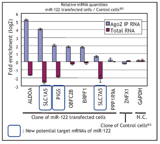 2914830020761202.jpg 2914830020761202.jpg