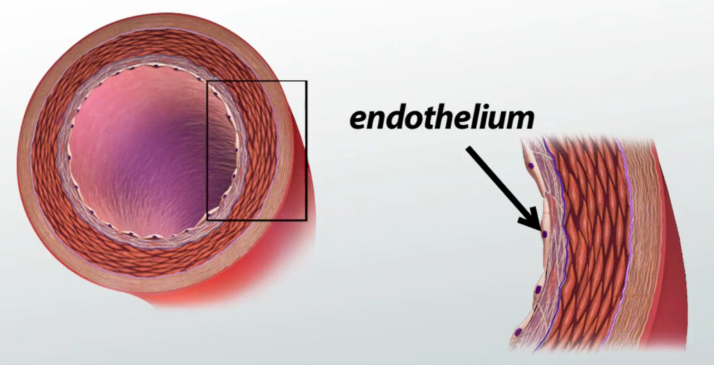 T细胞的特异性基因调控策略