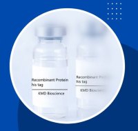 灭活水痘带状疱疹gE/glycoprotein E病毒抗原