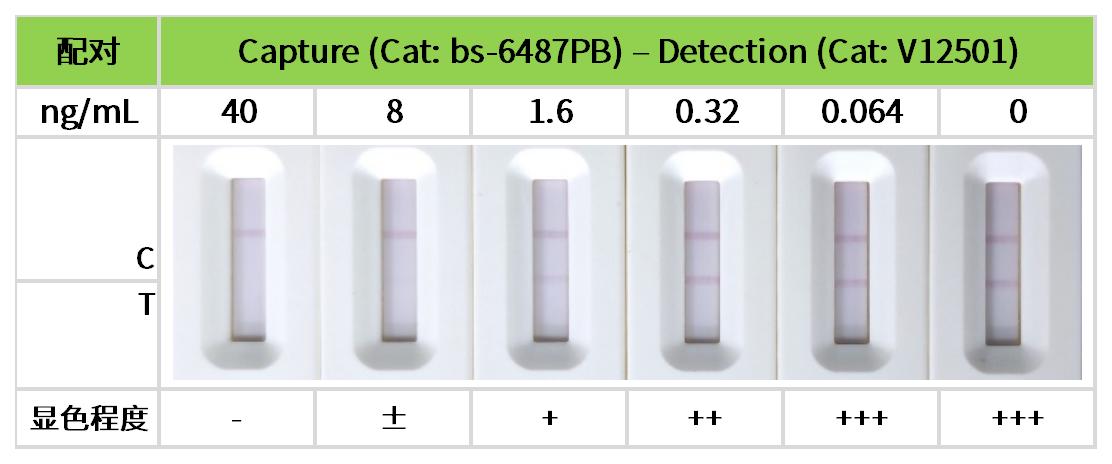 重点推荐 | 药物小分子检测相关配对抗体！