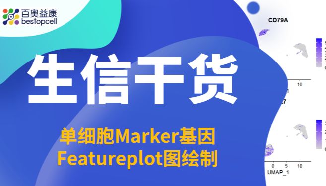 生信干货 | 单细胞Marker基因 Featureplot图绘制