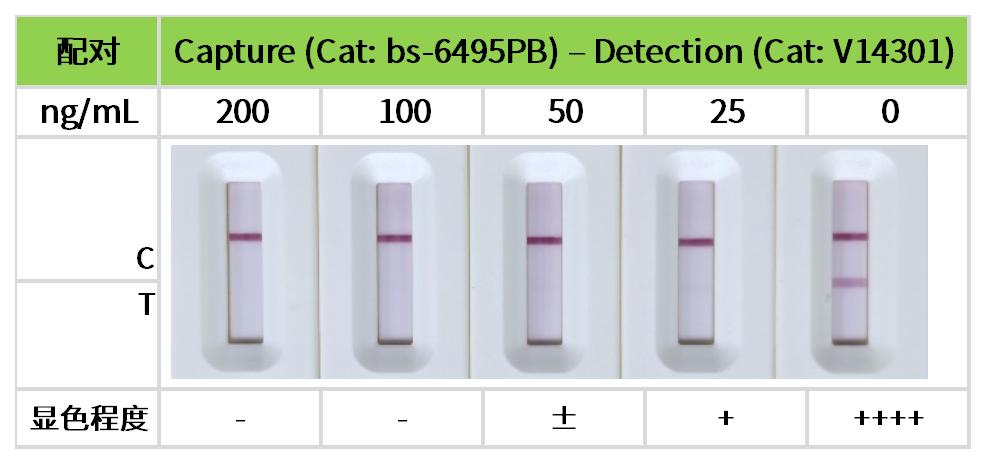重点推荐 | 药物小分子检测相关配对抗体！
