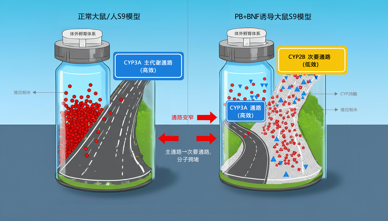 酸化下 3.png 酸化下 3.png